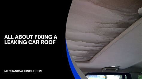 car roof leak repair|Water Leaking Into Your Car From Roof (Causes